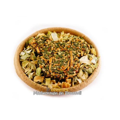 Snackbak met meelwormen voor Gerbil