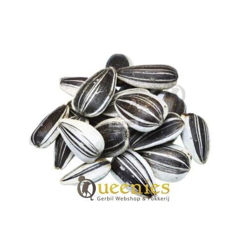 Zonnebloempitten voor Knaagdieren