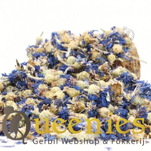 Felle blauwe Korenbloem voor hamster
