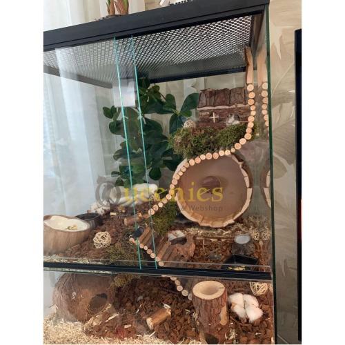 Keramieke Kokosnoot eetkom