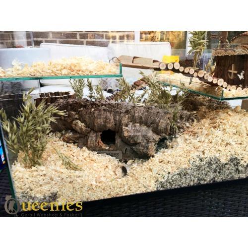 Knaagdierkooi van glas voordelig