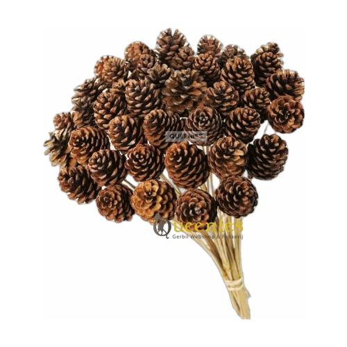 Huis decoratie met dennenappel ook voor Knaagdieren