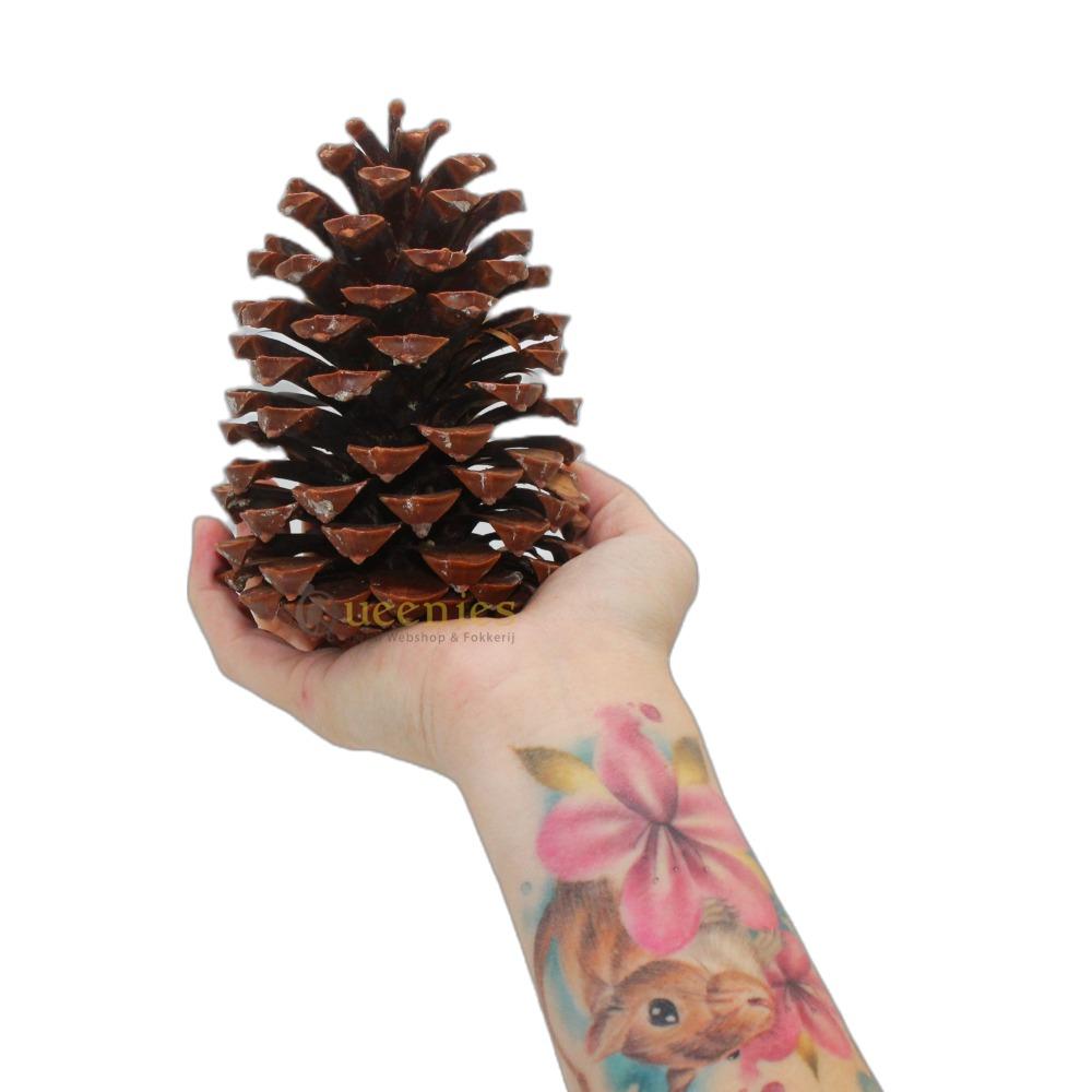 Grote dennenappel voor knaagdieren