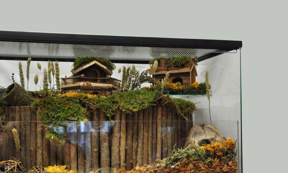 Gerbilarium met vast voorschot en schuifruit van bodem tot deksel