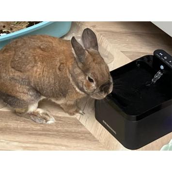 Automatische drinkfontein met sensorfunctie voor konijnen en knaagdieren