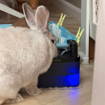 Energiezuinige drinkfontein met accu en hygiënisch ontwerp