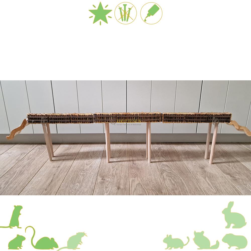 DIY Renbaan voor dwerg en goudhamster