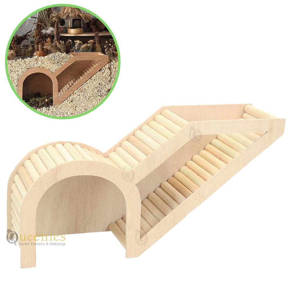 Horlogedoos Hamster - watchboxen voor Goudhamster