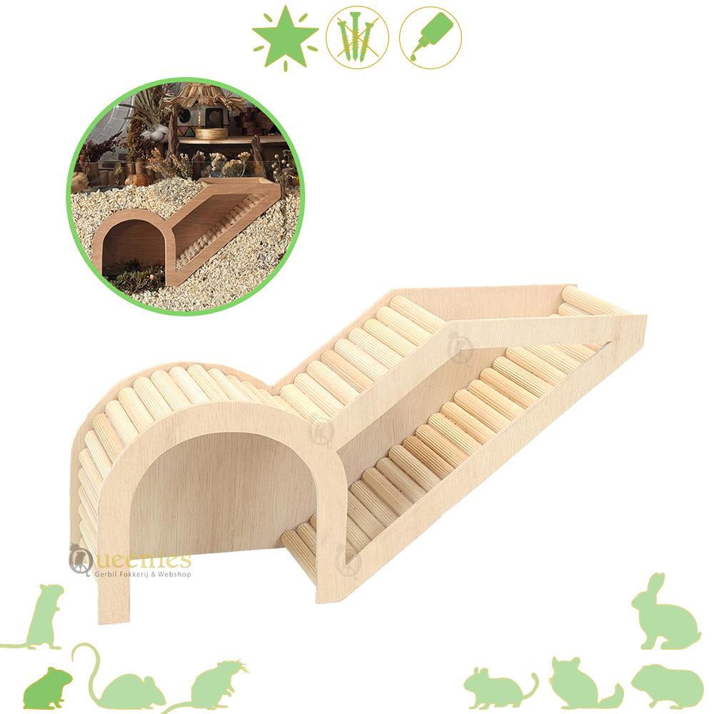 Hamster Watchbox Hamster- DIY Watchbox voor Knaagdieren