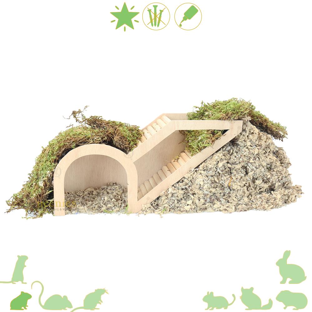 Watchbox voor in Hamsterscaping