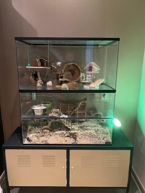 Opzetstuk Gerbilarium 80x40