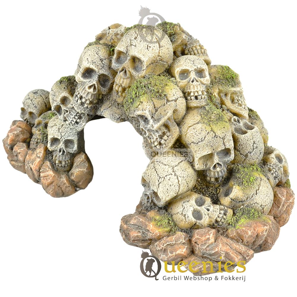 Doodshoofd Grot 24 cm voor Knaagdieren