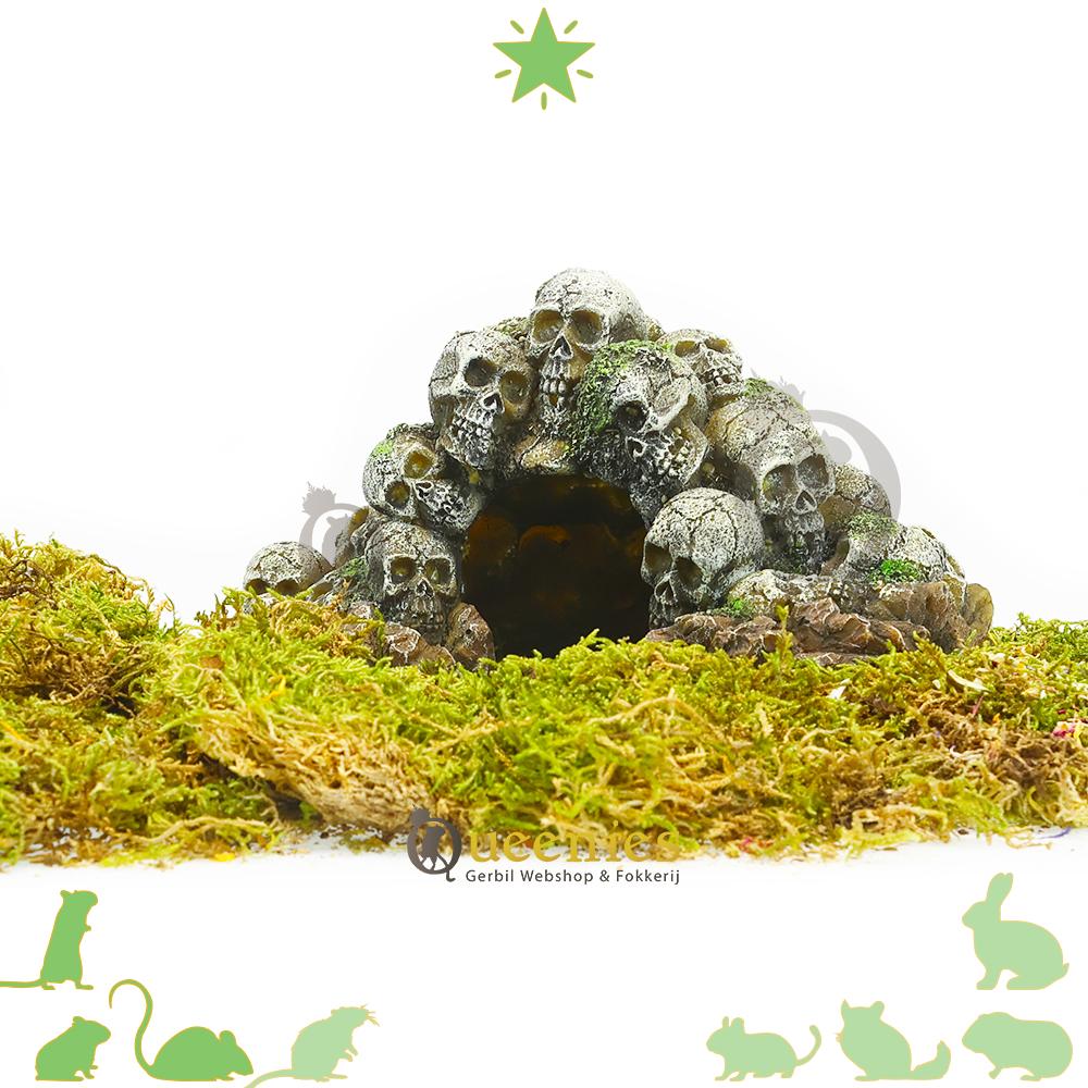 Hamsterscaping Doodshoofd grot