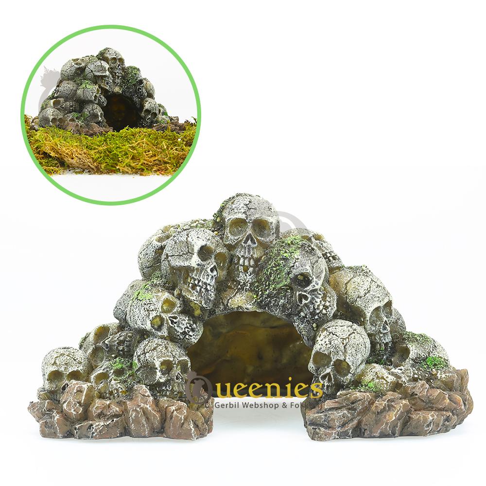 Aquarium decoratie met doodshoofd