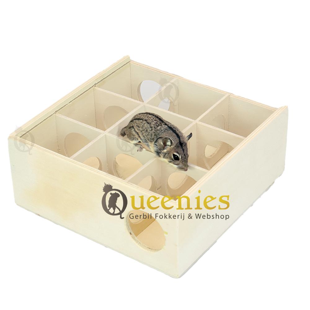 Beeztees Cleo doolhof labyrinth voor Dwerghamsters