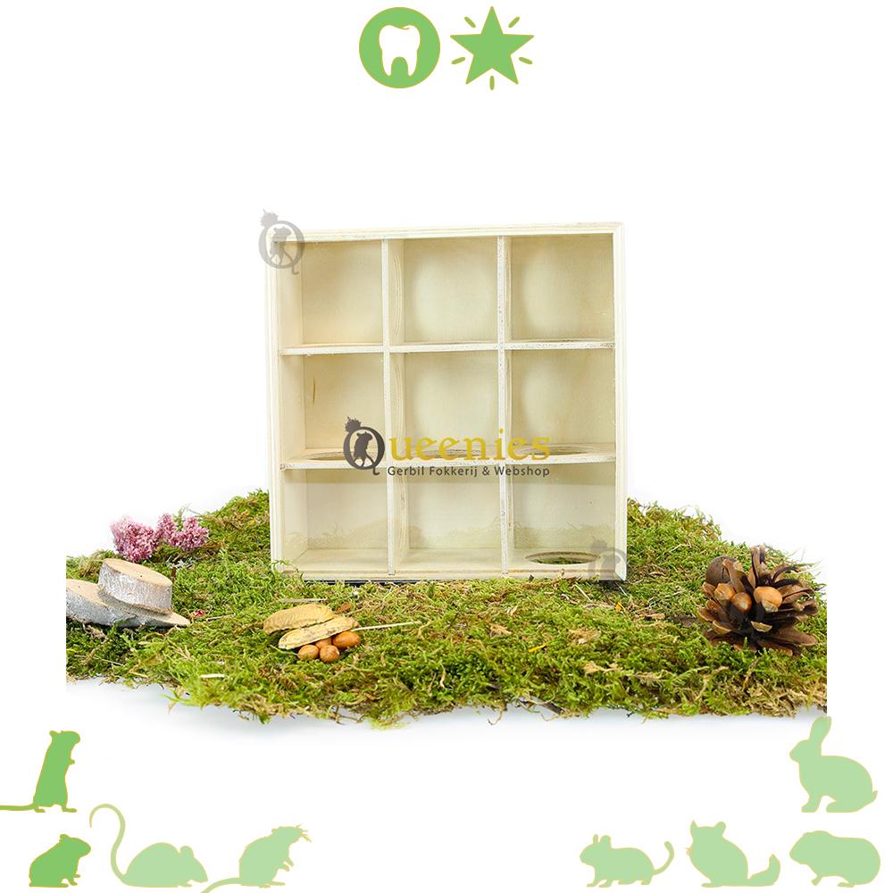 Gerbil doolhof of labyrinth wat dwangmatig hoekgraven voorkomt