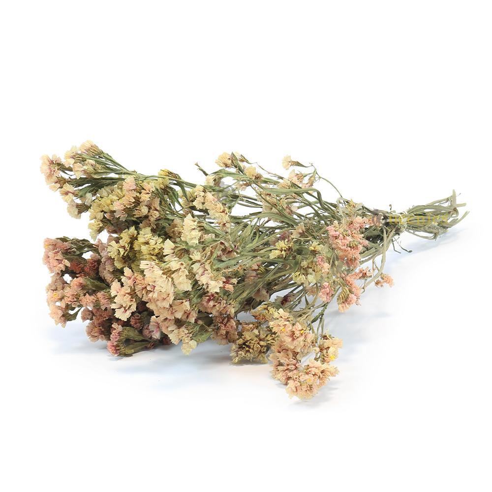 Gedroogde Oogst bloemen voor Hamsterscaping