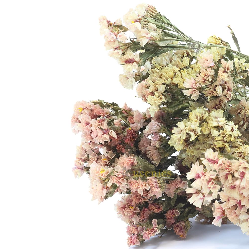 Gedroogde Oogst bloemen