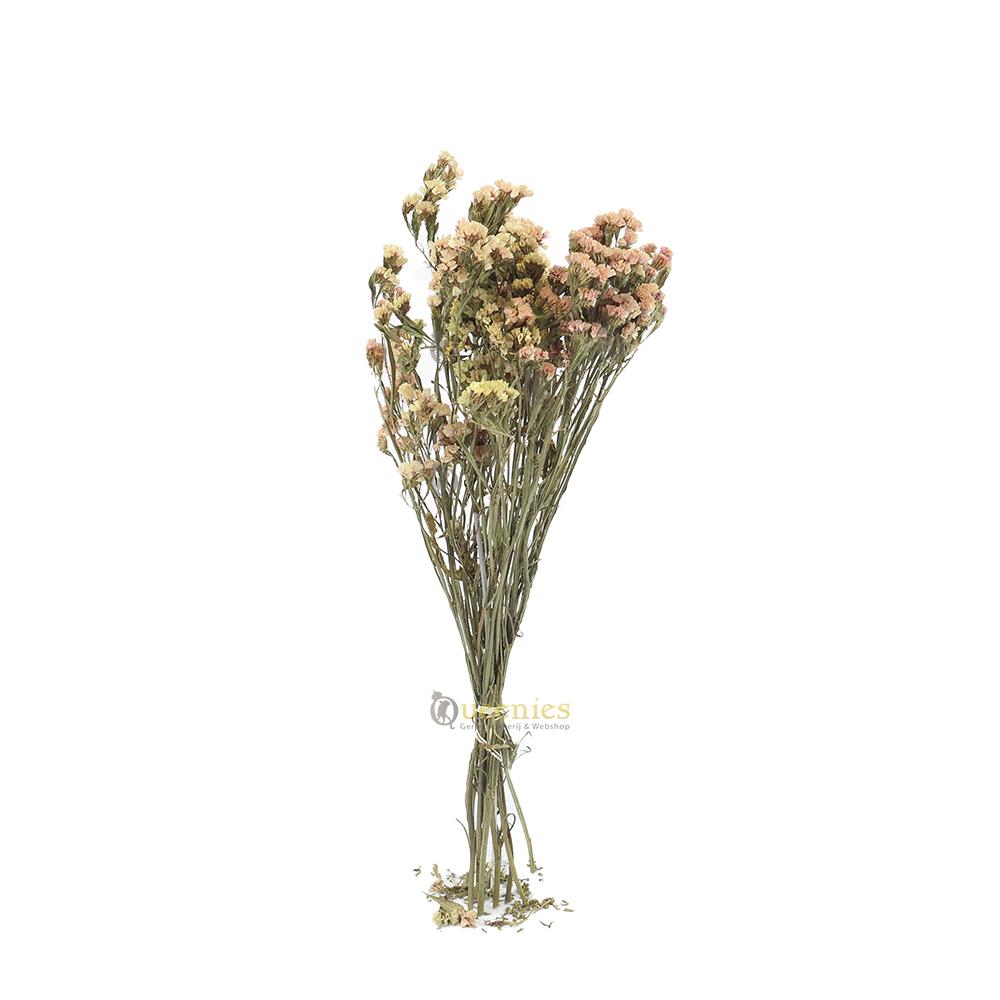 Droogbloemen voor Gerbilscaping