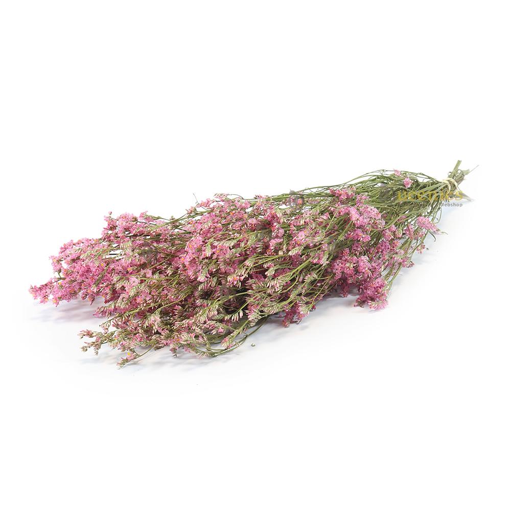 Roze Zeelavendel voor Knaagdieren