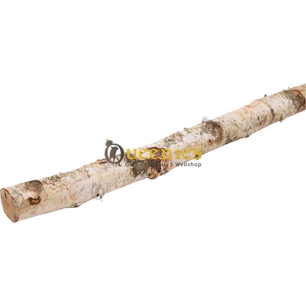 Berkenstam als decoratie in Knaagdieren Terrarium