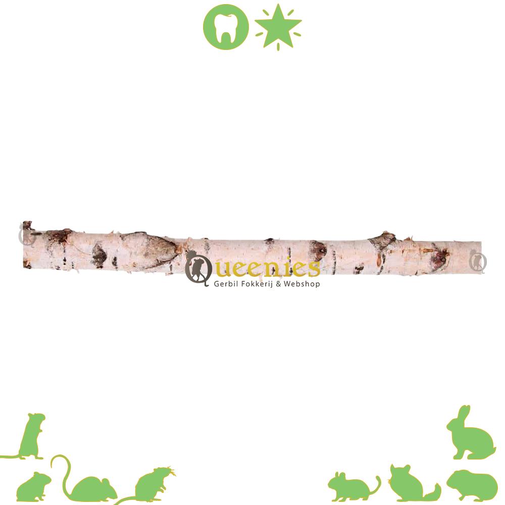 Berkenstam 50 cm - Hamsterscaping Berkenstam van Berkenhout