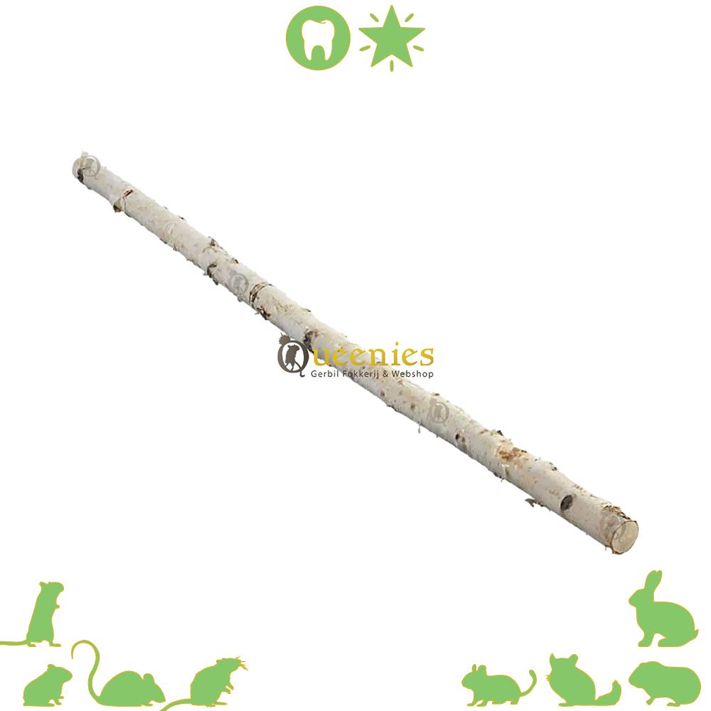 Berkenstam voor in natuurlijke inrichting