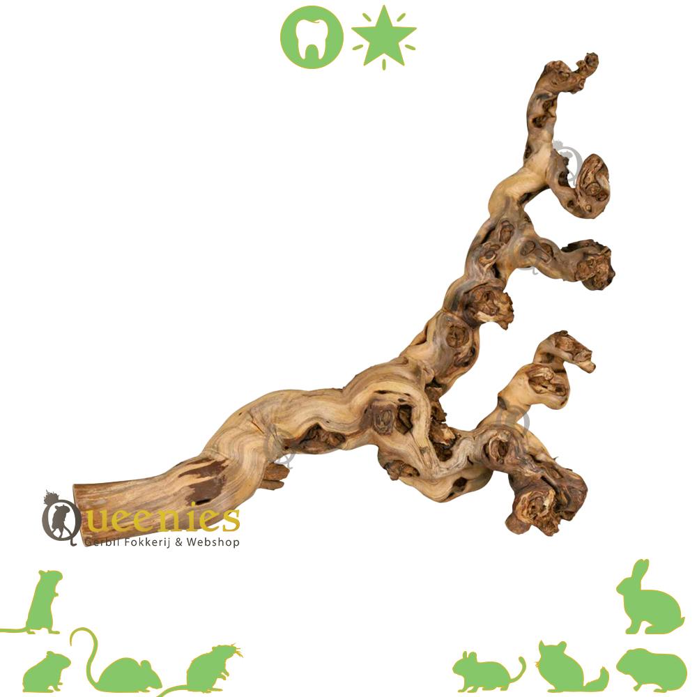 Wijnrank gezandstraald knaagdierenkooi