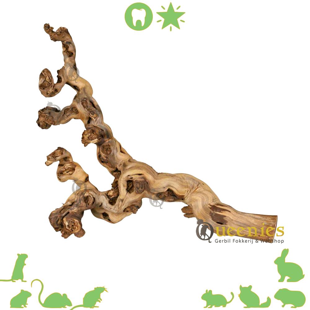 Wijnrank gezandstraald druiventak voor Gerbils