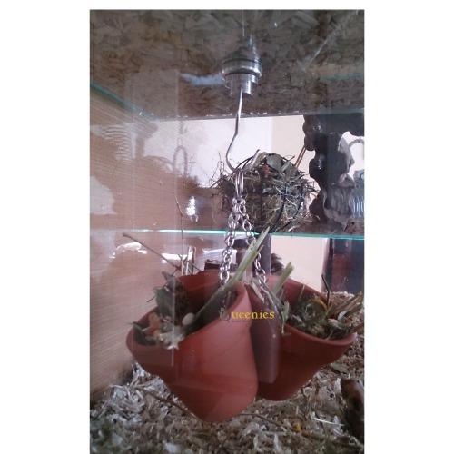 Magneten om knaagdier artikelen mee te bevestigen