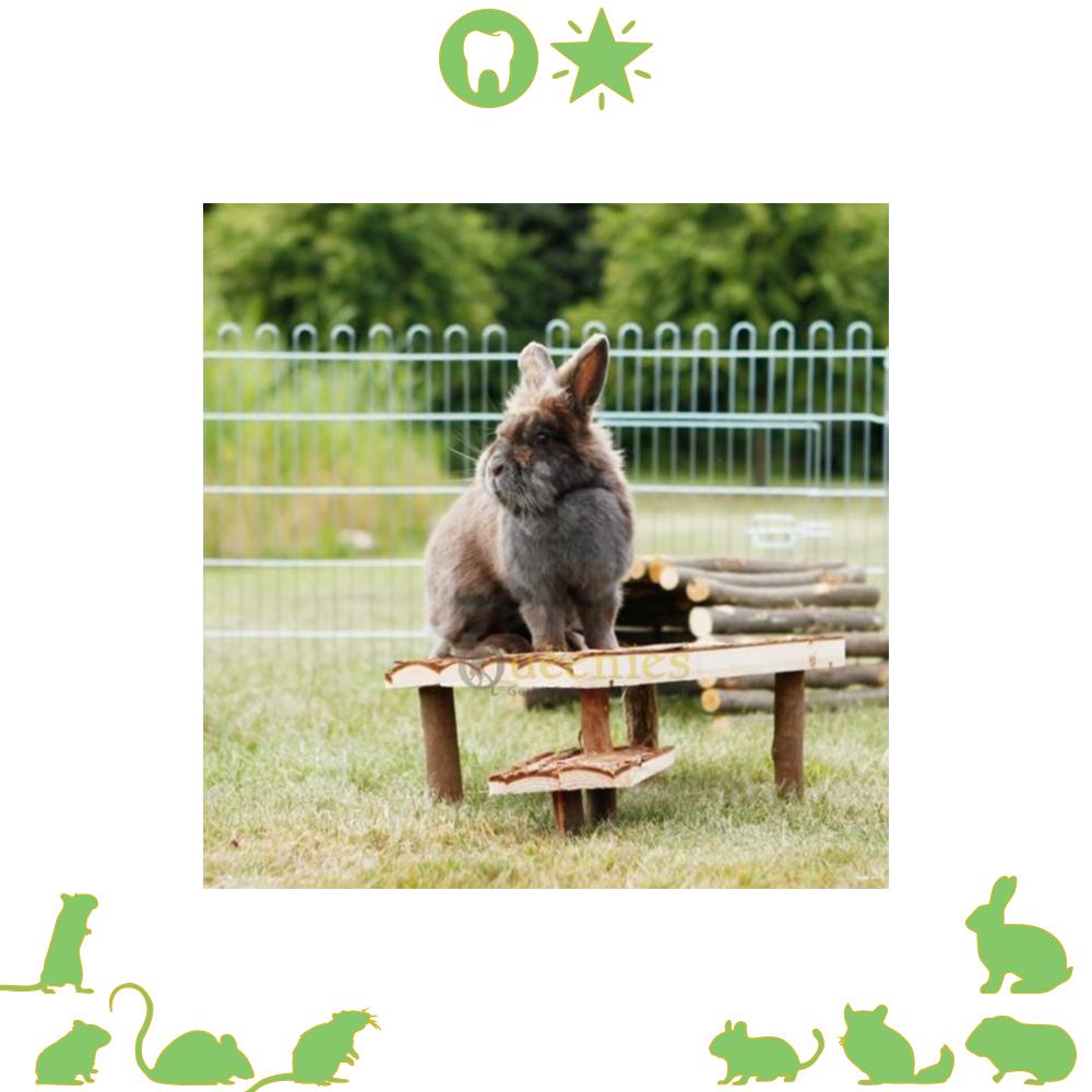 Dubbel plateau van hout - Afdak en of Ligplaats met Opstapje voor konijenen