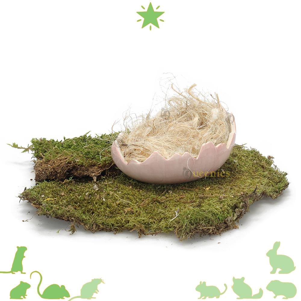 Roze lenteschaal voor hamsterscaping