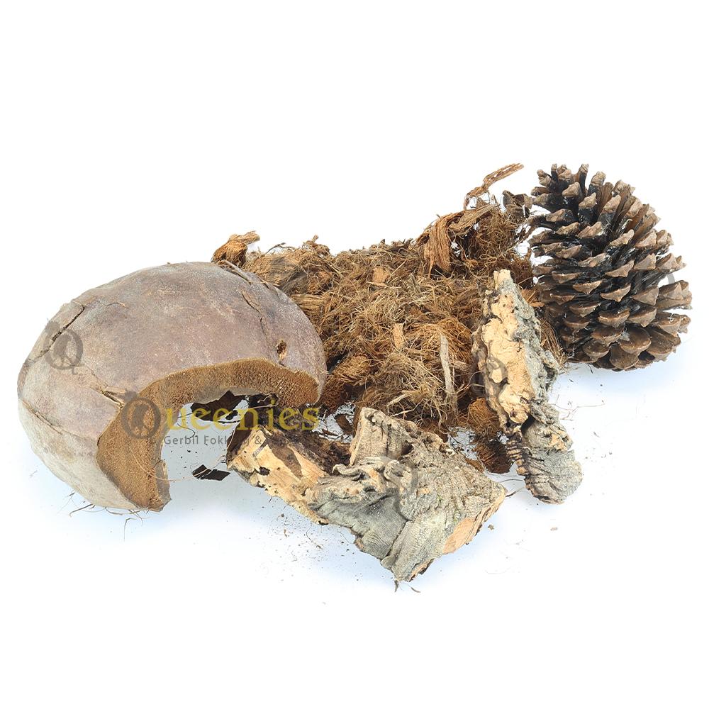 Knaagdierfestijn voor Ratten