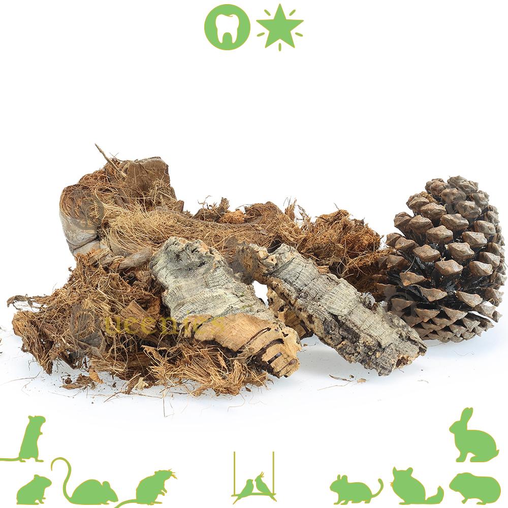 Bodembedekking gemaakt van Dennenappel