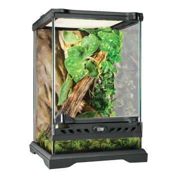 EX Glass Terrarium met Achterwand interieur met natuurlijke achtergrond