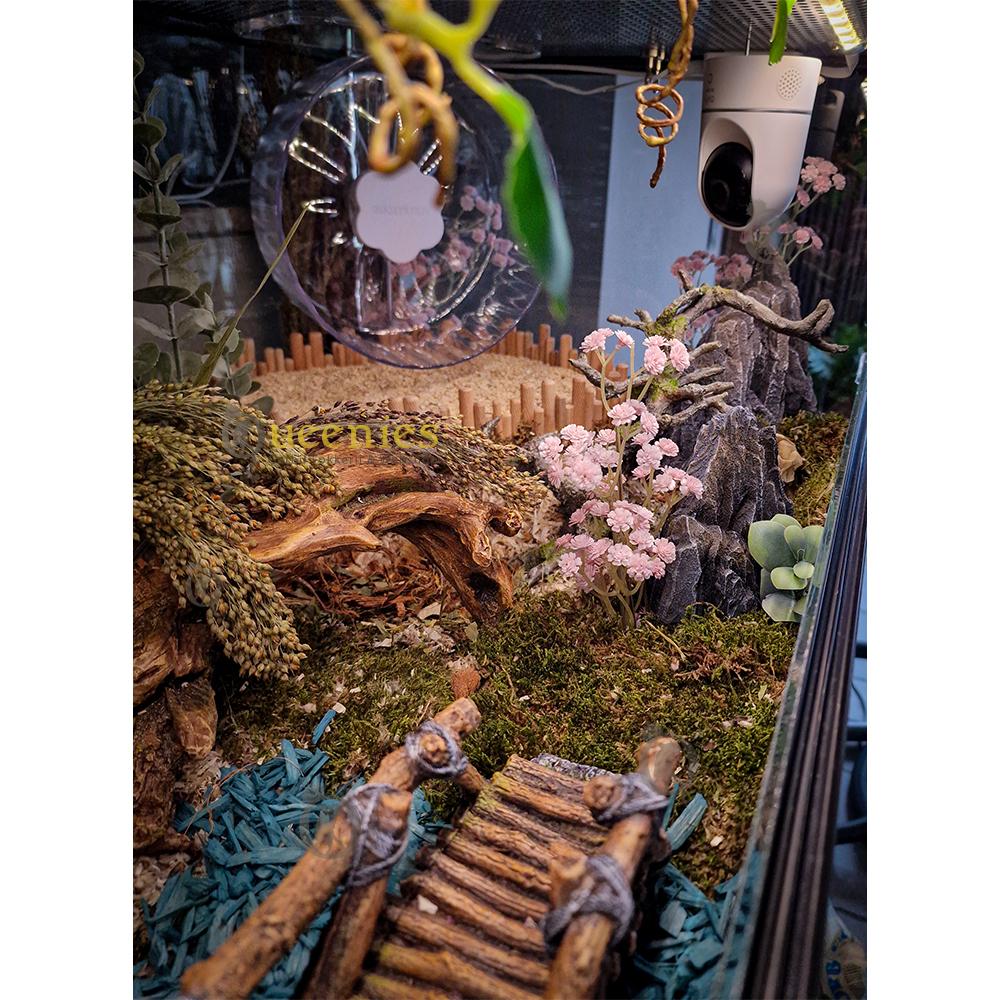 Patagonia Rots - Jurassic Park Hamsterscape Thema