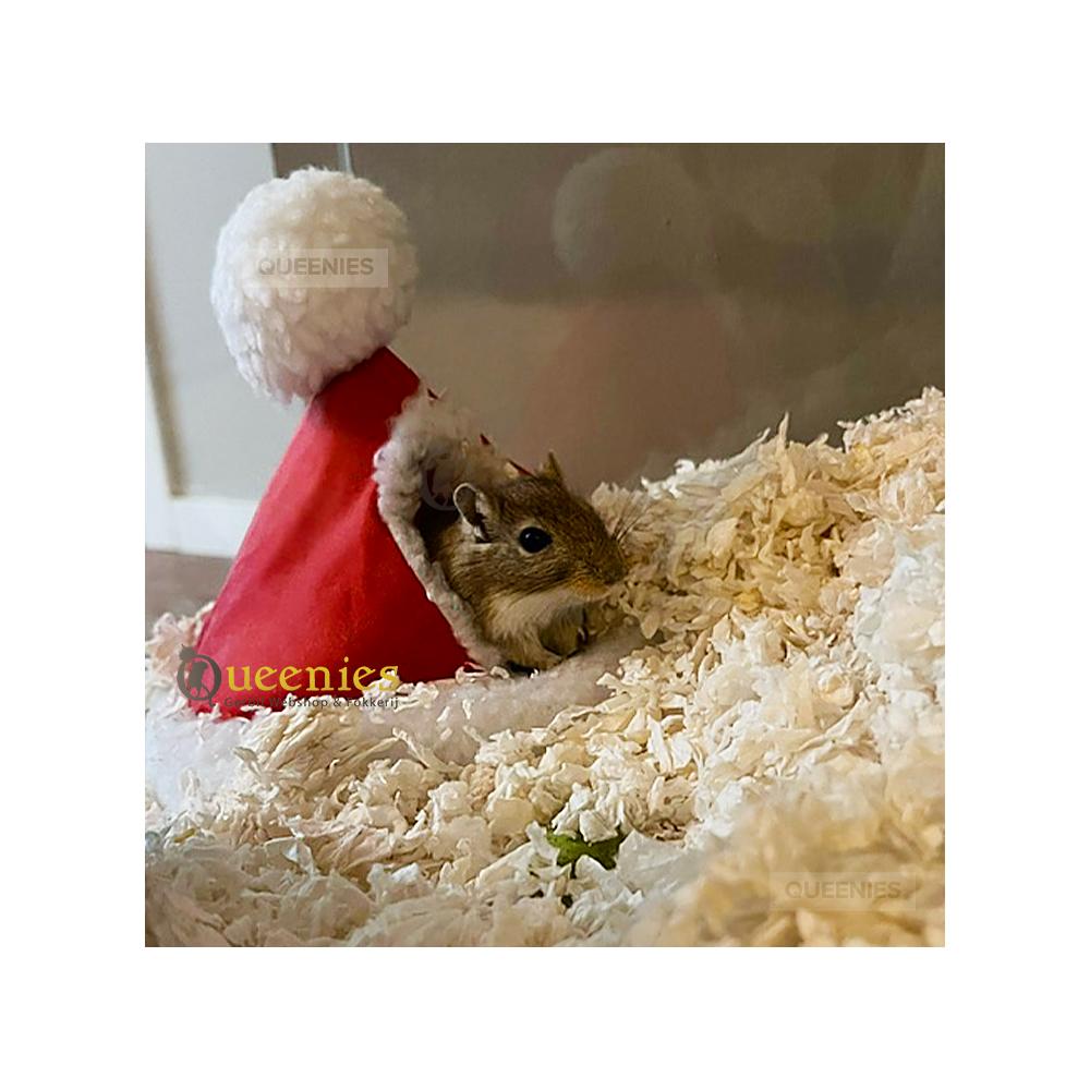 Gerbil in de kerst iglo
