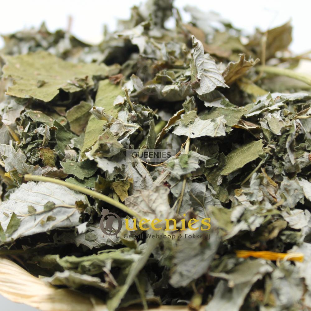 Frambozen blad voor Goudhamster