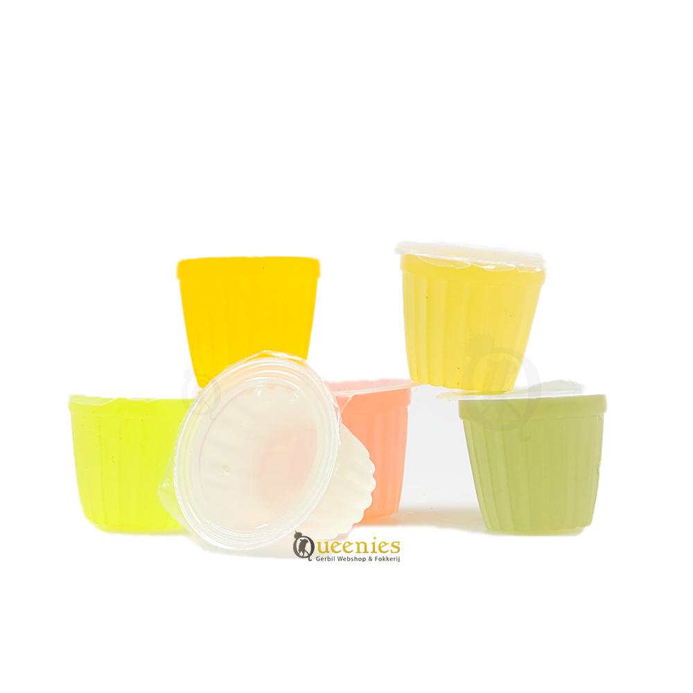 6 verschillende smaken fruitcups voor Muizen en ratten