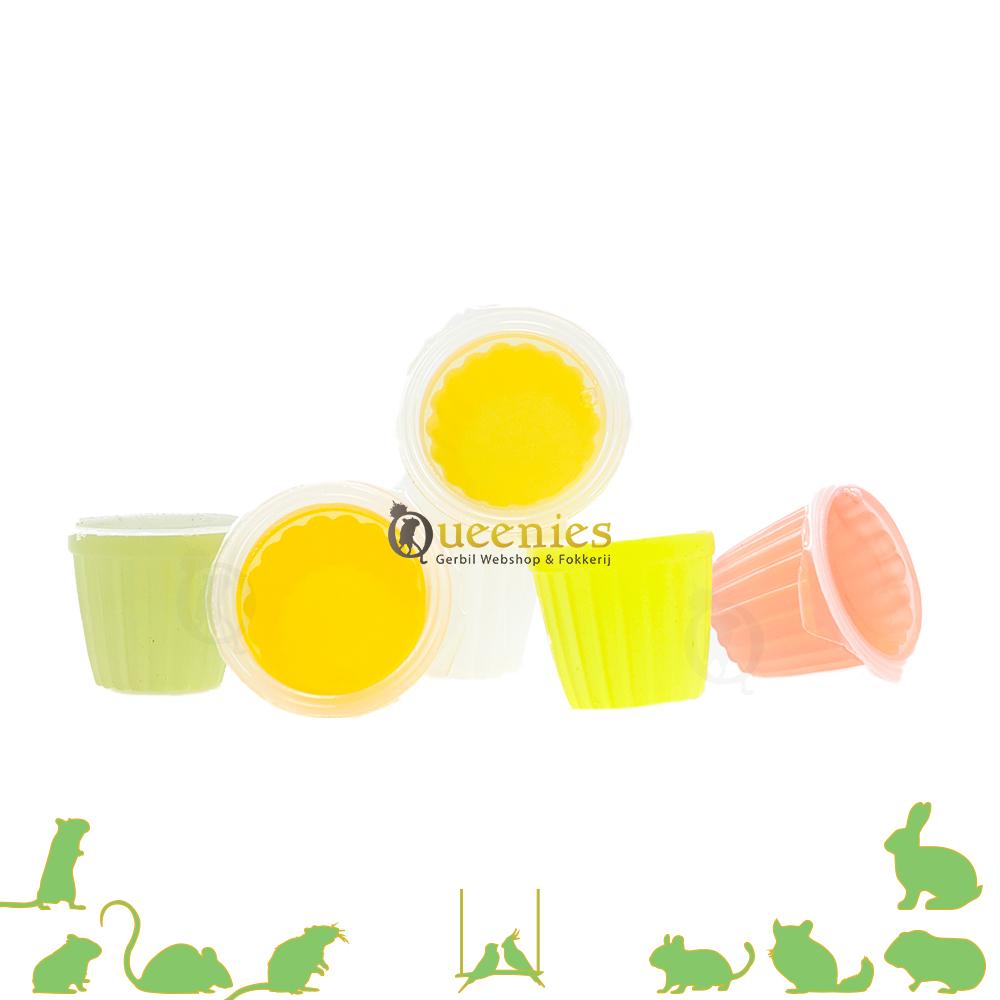 Fruitkuipjes voor Knaagdieren en Muizen