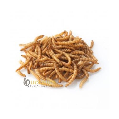 Gedroogde meelwormen in het snackpakket