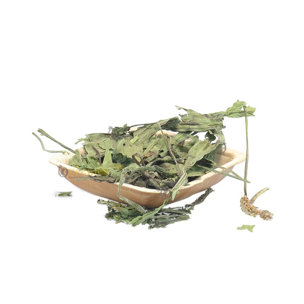 gezonde kruiden en grassen voor hamsters