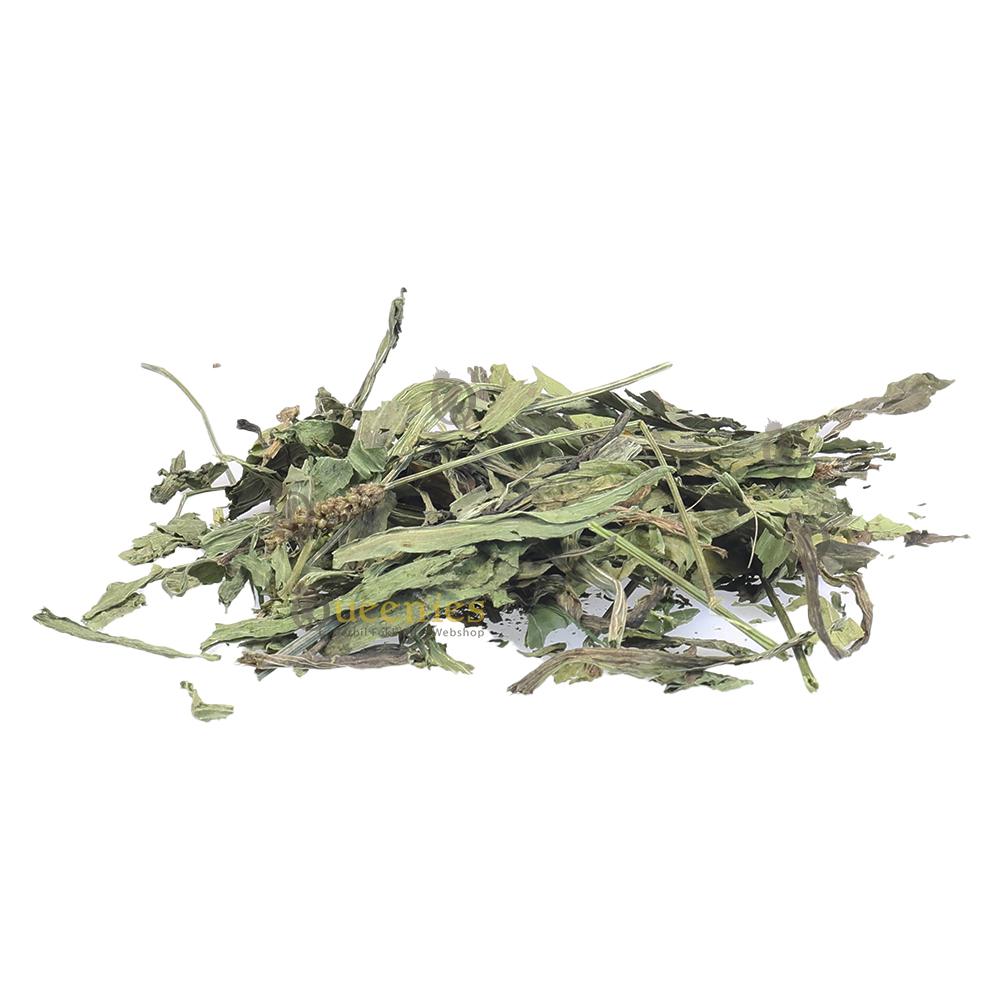 gezonde weegbree voor ratten