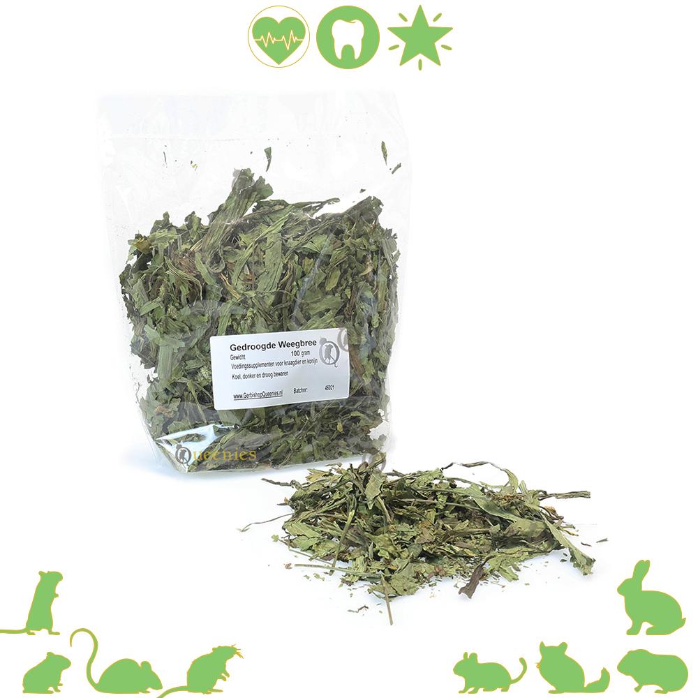 Weegbree knaagdier kruiden