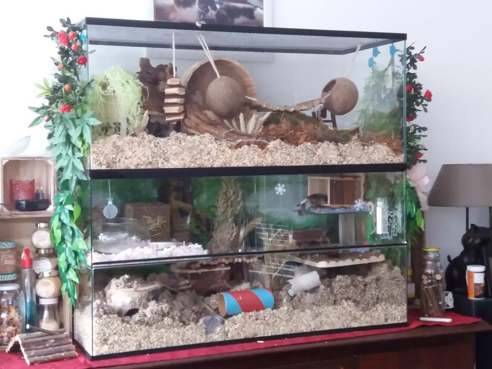 Opzetstuk Gerbilarium 100x40