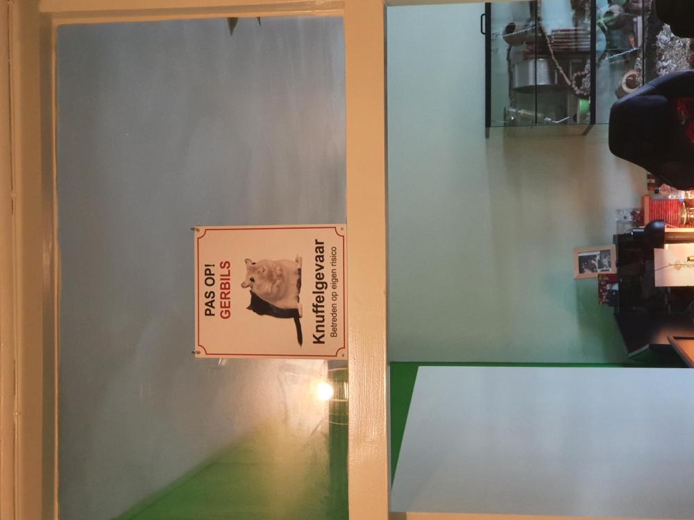 Pas op! Gerbils - Knuffelgevaar