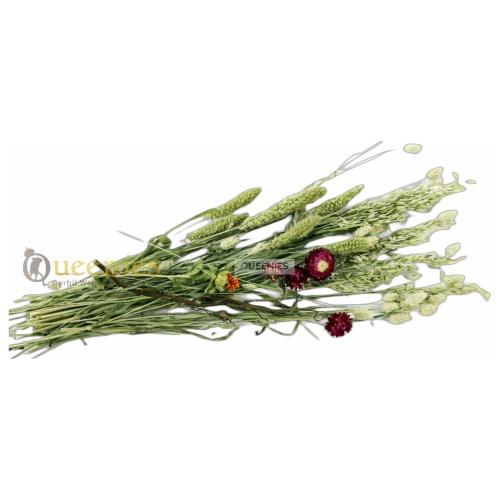 Gerbil Bouquet weidegewas voor hamster