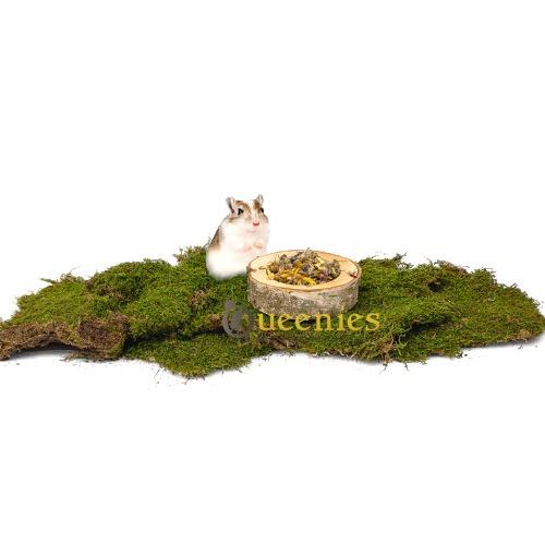 Natuurlijke uitstraling met voerbak