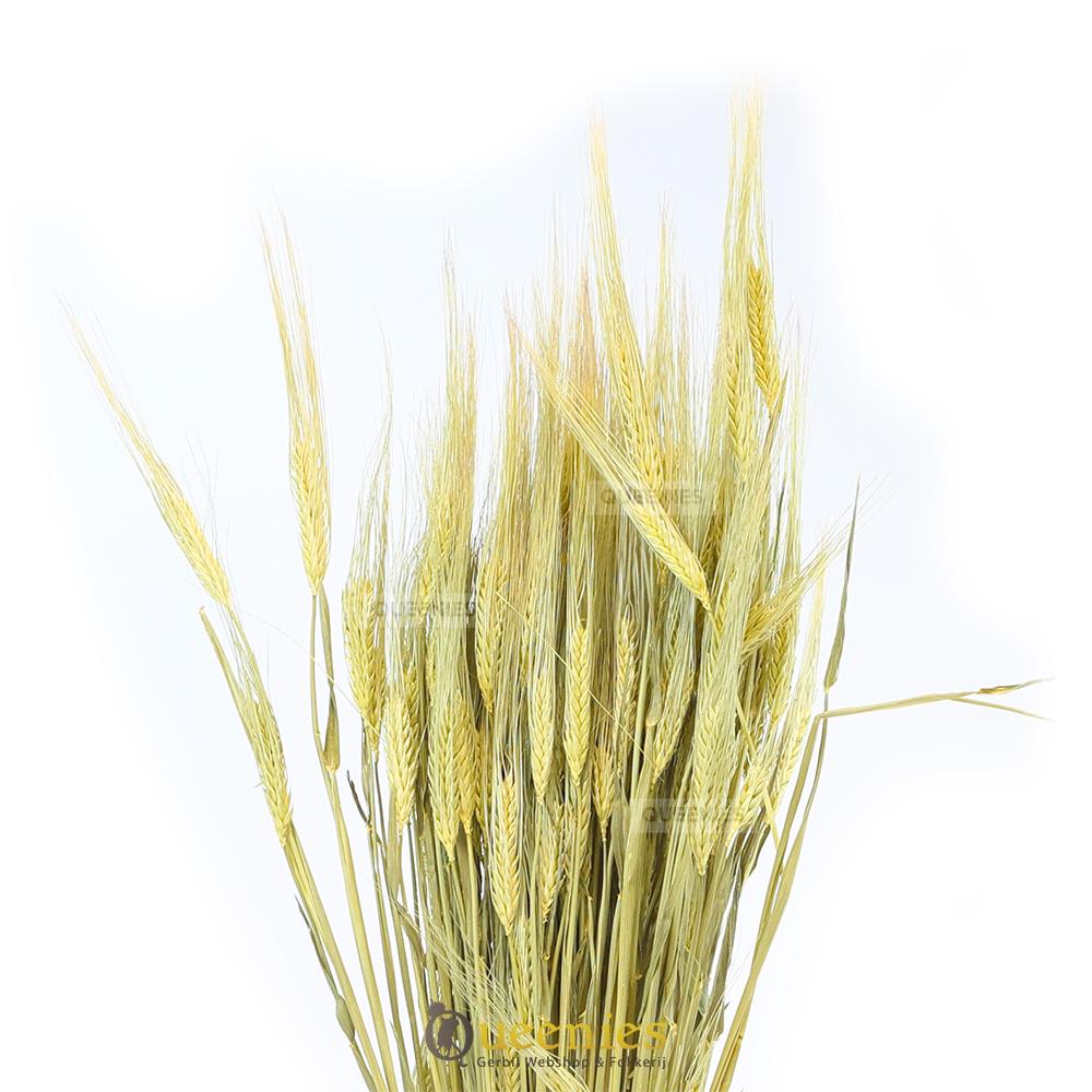 Zongedroogde gerst voor Knaagdieren en Konijnen