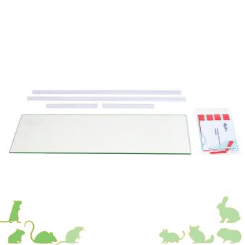Lang terrarium plateau 60 x 20 cm van ABS